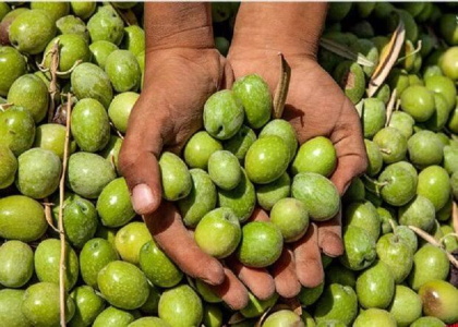 پایگاه خبری صدای زنجان