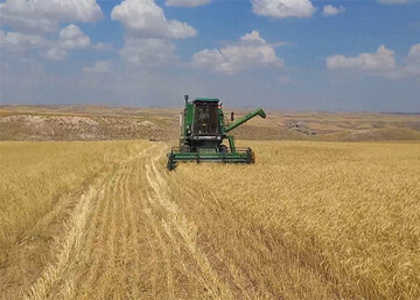 پایگاه خبری صدای زنجان