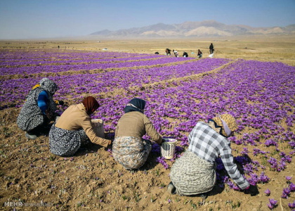 پایگاه خبری صدای زنجان
